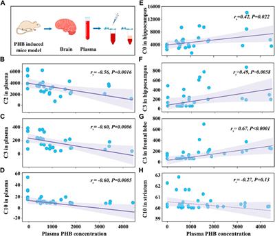 Rational analysis of data from LC-MS/MS: new insights in acylcarnitines as biomarkers for brain disorders or neurotoxicity